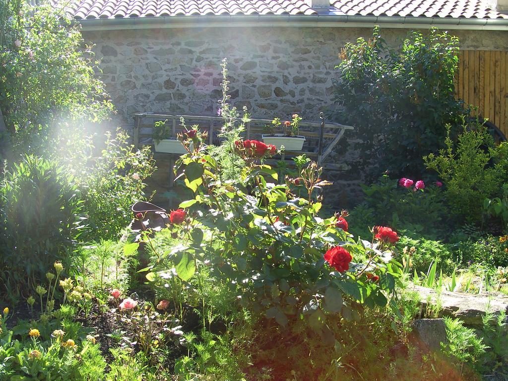 Cellier De La Fontaine Villa Saint-Georges-en-Couzan Værelse billede