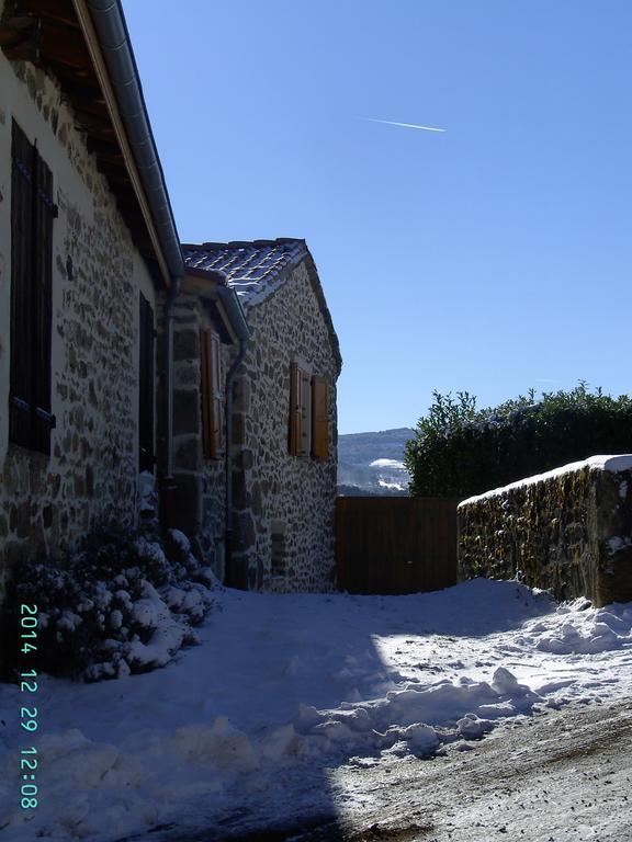 Cellier De La Fontaine Villa Saint-Georges-en-Couzan Værelse billede