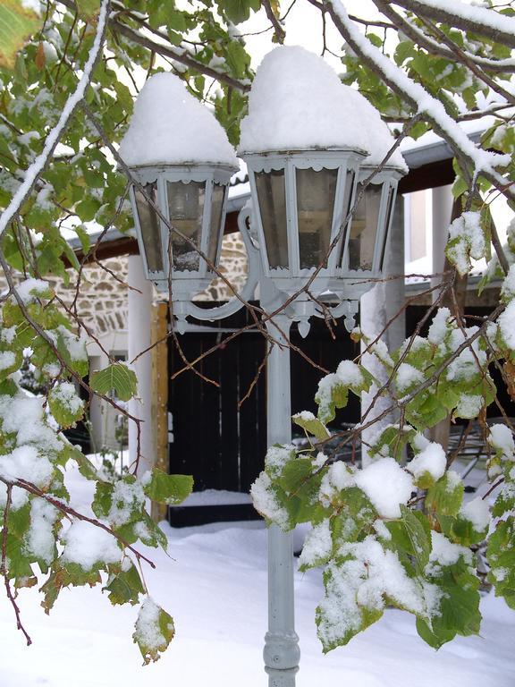 Cellier De La Fontaine Villa Saint-Georges-en-Couzan Værelse billede